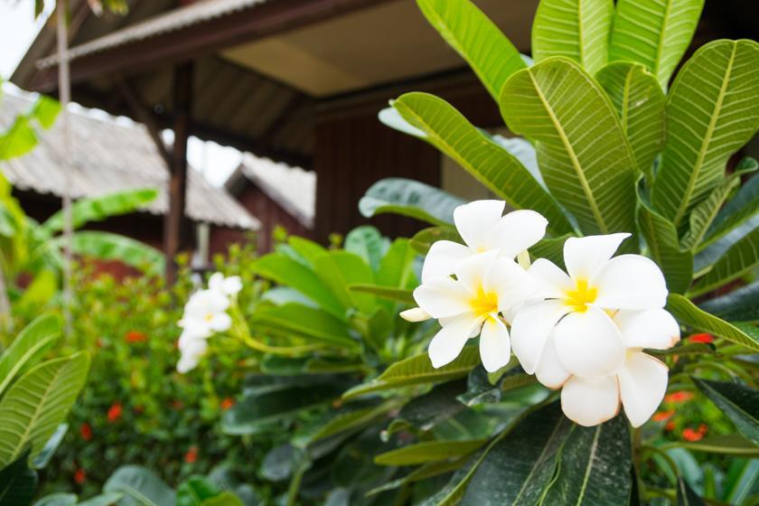 Weekender Bungalow Lamai Beach  Dış mekan fotoğraf